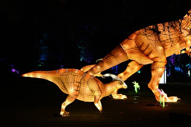 ILLUMINATE ADELAIDE, Dinosaur Installation at the Adelaide Zoo during Illuminate Adelaide, Adelaide, Thursday, July 2, 2026. ( NO ARCHIVING ADELAIDE SOUTH AUSTRALIA AUSTRALIA  Copyright: xMICHAELxERREYx 20260702162997469514