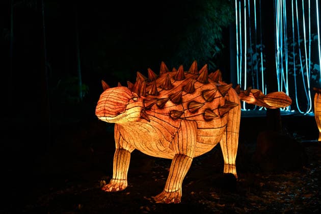 ILLUMINATE ADELAIDE, Dinosaur Installation at the Adelaide Zoo during Illuminate Adelaide, Adelaide, Thursday, July 2, 2026. ( NO ARCHIVING ADELAIDE SOUTH AUSTRALIA AUSTRALIA  Copyright: xMICHAELxERREYx 20260702191828804991