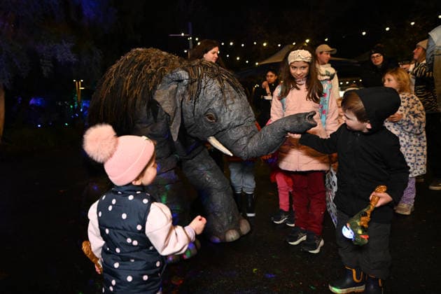 ILLUMINATE ADELAIDE, Roaming creatures at the Adelaide Zoo during Illuminate Adelaide, Adelaide, Thursday, July 2, 2026. ( NO ARCHIVING ADELAIDE SOUTH AUSTRALIA AUSTRALIA  Copyright: xMICHAELxERREYx 20260702145316818504