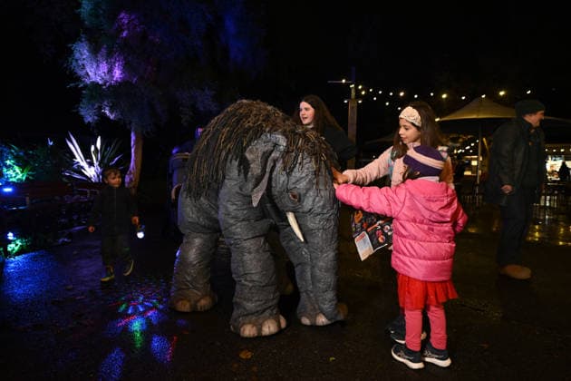 ILLUMINATE ADELAIDE, Roaming creatures at the Adelaide Zoo during Illuminate Adelaide, Adelaide, Thursday, July 2, 2026. ( NO ARCHIVING ADELAIDE SOUTH AUSTRALIA AUSTRALIA  Copyright: xMICHAELxERREYx 20260702150620868442