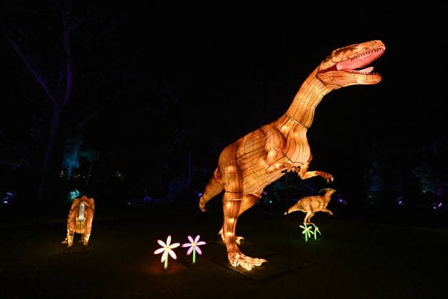 ILLUMINATE ADELAIDE, T-Rex Installation at the Adelaide Zoo during Illuminate Adelaide, Adelaide, Thursday, July 2, 2026. ( NO ARCHIVING ADELAIDE SOUTH AUSTRALIA AUSTRALIA  Copyright: xMICHAELxERREYx 20260702171111025743