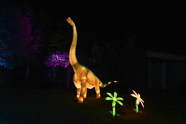 ILLUMINATE ADELAIDE, Installation at the Adelaide Zoo during Illuminate Adelaide, Adelaide, Thursday, July 2, 2026. ( NO ARCHIVING ADELAIDE SOUTH AUSTRALIA AUSTRALIA  Copyright: xMICHAELxERREYx 20260702193091607228