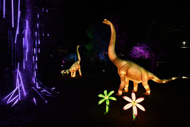 ILLUMINATE ADELAIDE, Installation at the Adelaide Zoo during Illuminate Adelaide, Adelaide, Thursday, July 2, 2026. ( NO ARCHIVING ADELAIDE SOUTH AUSTRALIA AUSTRALIA  Copyright: xMICHAELxERREYx 20260702176188875372