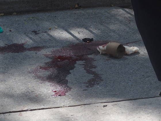 July 2, 2026, Brooklyn, New York, USA: New York, New York July 2, 2026..New York City Police officers and Detectives.investigate a shooting of a person in the Sheepshead Bay Neighborhood of Brooklyn Brooklyn USA  - ZUMAct2_ 20260702_faf_ct2_012 Copyright: xBrucexCotlerx
