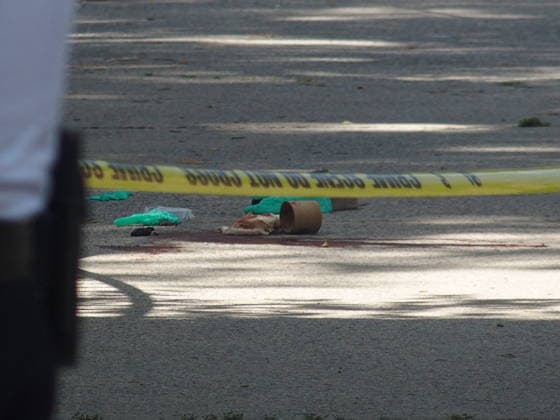 July 2, 2026, Brooklyn, New York, USA: New York, New York July 2, 2026..New York City Police officers and Detectives.investigate a shooting of a person in the Sheepshead Bay Neighborhood of Brooklyn Brooklyn USA - ZUMAct2_ 20260702_faf_ct2_004 Copyright: xBrucexCotlerx