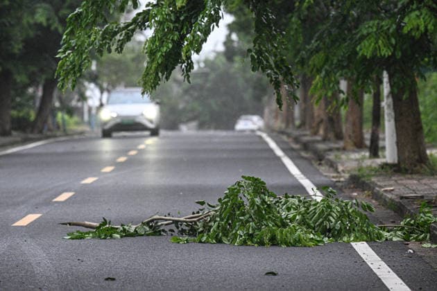 (260703) -- QIONGHAI, July 3, 2026 -- This photo taken on July 3, 2026 shows a fallen tree branch during a typhoon landfall in Qionghai, south China s Hainan Province. Typhoon Maysak, the 10th typhoon of the year, made landfall on the coast of south China s Hainan Province on Friday evening, suspending train, ferry and flight services and closing schools in some areas. The tropical storm came ashore at around 6:20 p.m. in Yelin Township of Lingshui Li Autonomous County, according to the Hainan provincial meteorological bureau. At landfall, it packed maximum winds of 23 meters per second near its center. The typhoon is forecast to move northwest, passing through Baoting, Wuzhishan, Baisha and Danzhou before entering the Beibu Gulf, th 