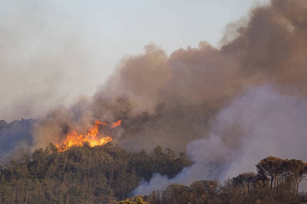 Spain battles major Costa Brava wildfire after 1,800 hectares burn LA BISBAL D’EMPORDA, SPAIN - JULY 03: Smoke and flames billow into the sky as a wildfire tears through the ecologically sensitive Les Gavarres mountain range in the Baix Emporda district of Catalonia, Spain, on July 3, 2026. A wildfire that broke out on Friday in the Baix Emporda district on Spain s Costa Brava has forced tens of thousands of people to remain indoors and has burned around 1,800 hectares, according to preliminary figures from regional authorities, as firefighters continue efforts to bring the blaze under control. Fanned by strong tramontana winds, the fire is affecting mainly the Les Gavarres mountain range, an area of high ecological value. Catalonia s regio  Copyright: x2026xAnadoluxLorenaxSopenaxLopezx