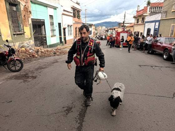 One person injured after partial collapse of school building in La Pastora, Venezuela CARACAS, VENEZUELA - JULY 3: A rescue worker walks alongside his rescue dog down an affected street, heading toward the main site of the incident in La Pastora, Caracas, Venezuela, on July 3, 2026. In the background on the left, debris cordoned off with yellow tape can be seen, and in the background on the right, emergency vehicles, firefighters, and civilians are observing the rescue efforts. Part of the Agustiniano San Judas Tadeo School building, collapsed on the afternoon of Friday, nine days after the country was struck by a double earthquake. Although the building had been evacuated due to severe damage, one person was injured. Julio Urribarri Anad  Copyright: x2026xAnadoluxJulioxUrribarrix