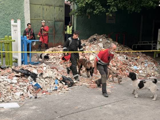One person injured after partial collapse of school building in La Pastora, Venezuela CARACAS, VENEZUELA - JULY 3: Several uniformed rescue workers, accompanied by multiple search and rescue dogs, are inspecting and walking directly over a large pile of debris (bricks, concrete blocks, and other material) cordoned off by yellow caution tape in the collapsed area in La Pastora, Caracas, Venezuela, on July 3, 2026. Part of the Agustiniano San Judas Tadeo School building, collapsed on the afternoon of Friday, nine days after the country was struck by a double earthquake. Although the building had been evacuated due to severe damage, one person was injured. Julio Urribarri Anadolu Caracas Venezuela. Editorial use only. Please get in touch for  Copyright: x2026xAnadoluxJulioxUrribarrix