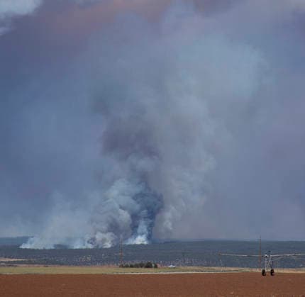 July 3, 2026, Dove Creek, Colorado, United States: July 3, 2026. The Ferris Fire which had burned more than 30,000 acres and was only 10% contained on Friday sends smoke billowing into the sky just East of Dove Creek in the Dolores River Canyon in Southwestern Colorado. The fire is a combination of the Ferris, Doe Canyon and Far Draw fires which were reported to be started by lightning strikes. Dove Creek United States - ZUMAl92_ 20260703_zaf_l92_002 Copyright: xRalphxLauerx