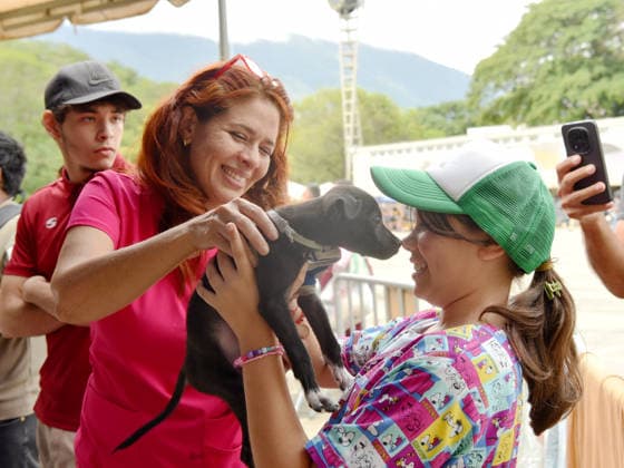 CARACAS, VENEZUELA - JULY 02: A veterinary volunteer and a girl care for a stray dog from the disaster zone at a relief center located in the main campus of the Central University of Venezuela, Ciudad Universitaria de Caracas, on July 2, 2026 in Caracas, Venezuela. The relief center has established a dog clinic to treat stray pets following the earthquake and is receiving pet food and cages.  Copyright: xChinaxNewsxServicex 111652033745