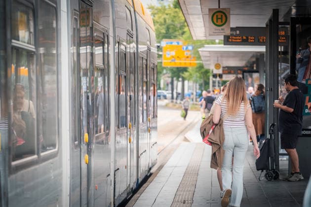 Freiwillige Helfer reinigen gemeinsam mit Mitarbeitenden der Leipziger Verkehrsbetriebe (LVB) Straßenbahngleise an der Leibnizstraße in Leipzig (Sachsen) von geschmolzenem Bitumen. Die Arbeiten sind Teil eines dritten Subbotniks zur Beseitigung der Hitzeschäden am Straßenbahnnetz. Aufnahme vom 4. Juli 2026. Hilfsaktion Leipzig *** Volunteers are working alongside employees of the Leipzig Public Transportation Authority (LVB) to clean melted bitumen from the tram tracks on Leibnizstraße in Leipzig, Saxony. The work is part of a third subbotnik aimed at repairing heat damage to the tram network. Photo taken on July 4, 2026. VolunteerLeipzig Relief Effort