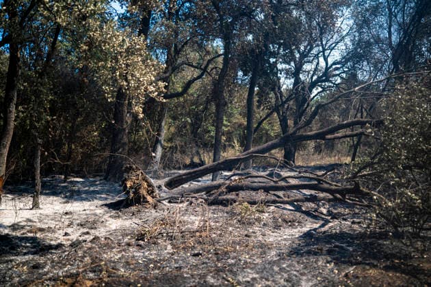 The Fire Department Stabilizes 70% of the Right Flank of the Fire in La Bisbal d Empordà, Girona. View of the fire in La Bisbal d Empordà on July 4, 2026, in Cruïlles, Sant Sadurní de l Heura, Girona, Catalonia, Spain The Generalitat’s Bombers managed to stabilize 70% of the right flank of the fire that broke out on Friday in La Bisbal d’Empordà early Saturday morning, July 4, 2026. HELICOPTER Lorena Sopê Cruïlles Sant Sadurni de l’Heura, Cruïlles Sant Sadurni de l’Heura, Spain  Copyright: xLorenaxSopÃªnax 7644300