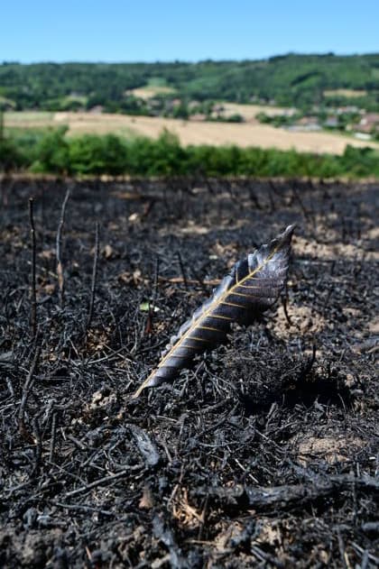 Fire In France A forest and field fire burns several hectares in the commune of Jardin, Isere, on July 4, 2026. Jardin Isere France  Copyright: xRomainxDoucelinx originalFilename: doucelin-fireinfr260704_npeK6.jpg
