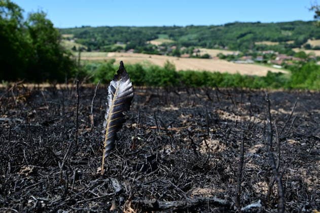 Fire In France A forest and field fire burns several hectares in the commune of Jardin, Isere, on July 4, 2026. Jardin Isere France  Copyright: xRomainxDoucelinx originalFilename: doucelin-fireinfr260704_npEzw.jpg