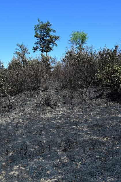 Fire In France A forest and field fire burns several hectares in the commune of Jardin, Isere, on July 4, 2026. Jardin Isere France  Copyright: xRomainxDoucelinx originalFilename: doucelin-fireinfr260704_npD6R.jpg