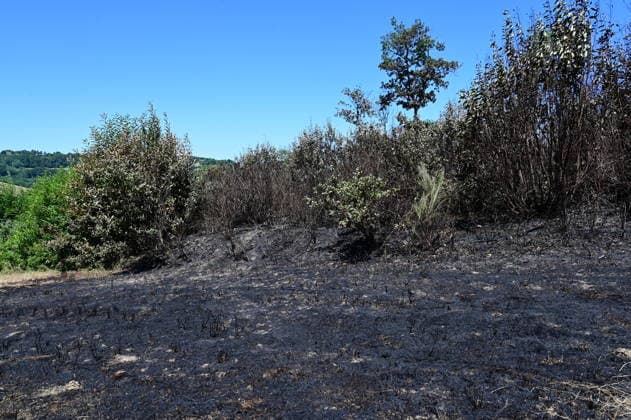 Fire In France A forest and field fire burns several hectares in the commune of Jardin, Isere, on July 4, 2026. Jardin Isere France  Copyright: xRomainxDoucelinx originalFilename: doucelin-fireinfr260704_np32F.jpg