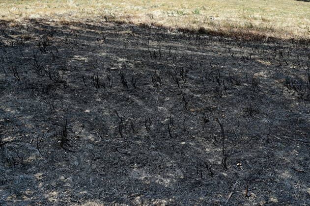 Fire In France A forest and field fire burns several hectares in the commune of Jardin, Isere, on July 4, 2026. Jardin Isere France  Copyright: xRomainxDoucelinx originalFilename: doucelin-fireinfr260704_npNP5.jpg