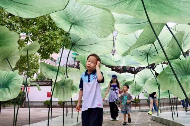 HANGZHOU, CHINA - JULY 04: Children walk under giant lotus leaf art installations during a lotus market at the Confucius Temple on July 4, 2026 in Hangzhou, Zhejiang Province of China.  Copyright: xChinaxNewsxServicex 111652187579