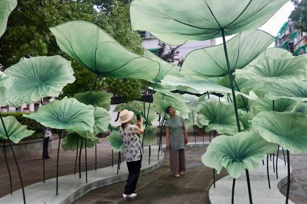 HANGZHOU, CHINA - JULY 04: Giant lotus leaf installations are displayed during a lotus market at the Confucius Temple on July 4, 2026 in Hangzhou, Zhejiang Province of China.  Copyright: xChinaxNewsxServicex 111652187681