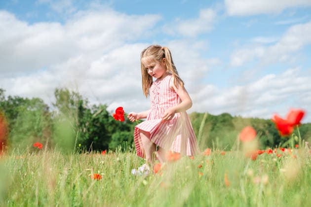 Little girl walking in a summer poppy field holding a flower model released, Symbolfoto, IGEF01046