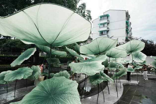 Lotus Leaf Art Installation Citizens enjoy the cool breeze under an art installation composed of giant lotus leaves in Hangzhou, Zhejiang Province, China on July 5, 2026. Hangzhou Zhejiang China  Copyright: xLWx i1783267422042
