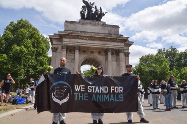 July 5, 2026, London, England, United Kingdom: Animal rights activists stand next to the Wellington Arch at Hyde Park Corner during a vigil by the group We Stand For The Animals for the billions of animals exploited, abused and killed by humans for food, clothing, entertainment and other areas of human activity. The activists held pictures of various species as well as bodies of real animals, who died of natural causes, in remembrance of animals worldwide and in protest against speciesism. London United Kingdom  - ZUMAv130 20260705_zip_v130_003 Copyright: xVukxValcicx