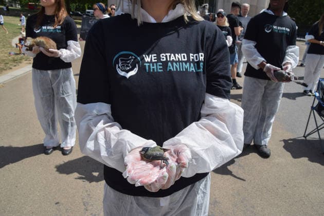July 5, 2026, London, England, United Kingdom: An animal rights activist holds a dead bird next to the Wellington Arch at Hyde Park Corner during a vigil by the group We Stand For The Animals for the billions of animals exploited, abused and killed by humans for food, clothing, entertainment and other areas of human activity. The activists held pictures of various species as well as bodies of real animals, who died of natural causes, in remembrance of animals worldwide and in protest against speciesism. London United Kingdom  - ZUMAv130 20260705_zip_v130_006 Copyright: xVukxValcicx