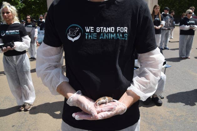 July 5, 2026, London, England, United Kingdom: An animal rights activist holds a dead mouse next to the Wellington Arch at Hyde Park Corner during a vigil by the group We Stand For The Animals for the billions of animals exploited, abused and killed by humans for food, clothing, entertainment and other areas of human activity. The activists held pictures of various species as well as bodies of real animals, who died of natural causes, in remembrance of animals worldwide and in protest against speciesism. London United Kingdom  - ZUMAv130 20260705_zip_v130_007 Copyright: xVukxValcicx