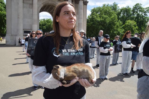 July 5, 2026, London, England, United Kingdom: An animal rights activist holds a dead fox next to the Wellington Arch at Hyde Park Corner during a vigil by the group We Stand For The Animals for the billions of animals exploited, abused and killed by humans for food, clothing, entertainment and other areas of human activity. The activists held pictures of various species as well as bodies of real animals, who died of natural causes, in remembrance of animals worldwide and in protest against speciesism. London United Kingdom  - ZUMAv130 20260705_zip_v130_009 Copyright: xVukxValcicx
