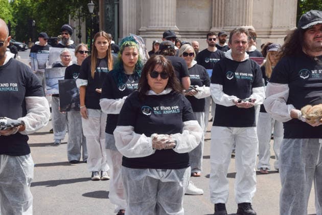 July 5, 2026, London, England, United Kingdom: Animal rights activists hold dead animals next to the Wellington Arch at Hyde Park Corner during a vigil by the group We Stand For The Animals for the billions of animals exploited, abused and killed by humans for food, clothing, entertainment and other areas of human activity. The activists held pictures of various species as well as bodies of real animals, who died of natural causes, in remembrance of animals worldwide and in protest against speciesism. London United Kingdom  - ZUMAv130 20260705_zip_v130_011 Copyright: xVukxValcicx