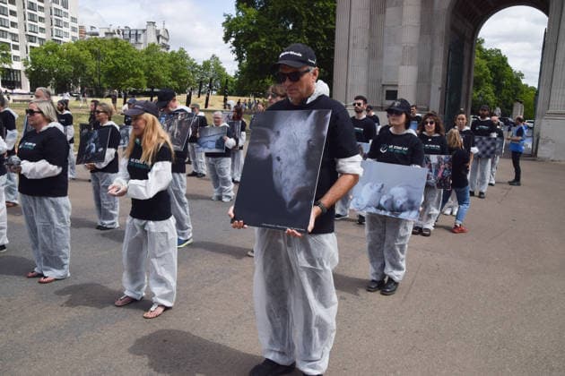 July 5, 2026, London, England, United Kingdom: Animal rights activists stand next to the Wellington Arch at Hyde Park Corner during a vigil by the group We Stand For The Animals for the billions of animals exploited, abused and killed by humans for food, clothing, entertainment and other areas of human activity. The activists held pictures of various species as well as bodies of real animals, who died of natural causes, in remembrance of animals worldwide and in protest against speciesism. London United Kingdom  - ZUMAv130 20260705_zip_v130_020 Copyright: xVukxValcicx