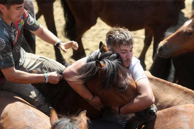 La Rapa das Bestas Celebration 2026 A Rapa das Bestas Celebration, on July 5, 2026, in Sabucedo, Pontevedra, Galicia, Spain. A Rapa das Bestas is an ancient Galician festival that involves capturing wild horses in the mountains, driving them into a fenced enclosure, and cutting their manes to deworm and care for them. It is a ritual of strength and tradition that symbolizes the coexistence of humans and nature, celebrated primarily in Sabucedo. JULY 5, 2026 Sabucedo, Pontevedra, Galicia, Sabucedo, Pontevedra, Galicia, Spain  Copyright: xCarlosxCastrox 7646531