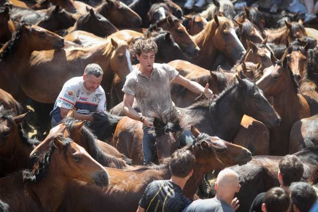 La Rapa das Bestas Celebration 2026 A Rapa das Bestas Celebration, on July 5, 2026, in Sabucedo, Pontevedra, Galicia, Spain. A Rapa das Bestas is an ancient Galician festival that involves capturing wild horses in the mountains, driving them into a fenced enclosure, and cutting their manes to deworm and care for them. It is a ritual of strength and tradition that symbolizes the coexistence of humans and nature, celebrated primarily in Sabucedo. JULY 5, 2026 Sabucedo, Pontevedra, Galicia, Sabucedo, Pontevedra, Galicia, Spain  Copyright: xCarlosxCastrox 7646538