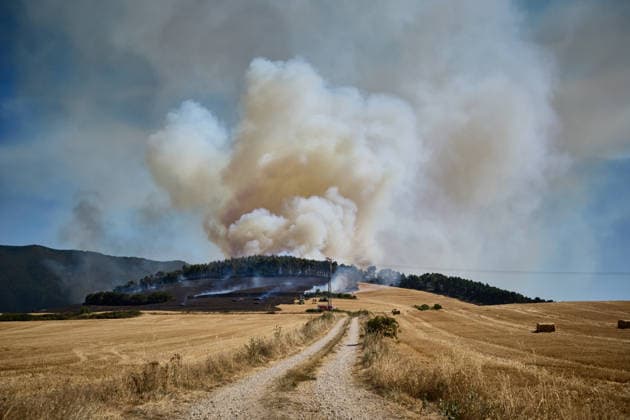 A large wildfire has been reported in Imárcoain, Navarre. View of the wildfire in Imárcoain on July 5, 2026, in Imárcoain, Elorz Valley, Navarre, Spain. Firefighters are currently working to extinguish a fire in a grain field that has spread to a wooded area in Imárcoain, which belongs to the Elorz Valley municipality. Emergency services received the alert at 4:49 p.m., and a response team consisting of firefighters, aircraft, environmental forest rangers, Local Police, and Regional Police. As a result, the AP 15 has been closed in both directions as a precaution. JULY 5, 2026 Imarcoain, Elorz Valley, Navarre Imarcoain, Elorz Valley, Navarre, Spain  Copyright: xEduardoxSanzx 7647211