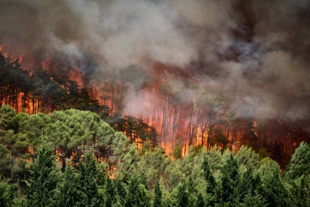 A large wildfire has been reported in Imárcoain, Navarre. View of the wildfire in Imárcoain on July 5, 2026, in Imárcoain, Elorz Valley, Navarre, Spain. Firefighters are currently working to extinguish a fire in a grain field that has spread to a wooded area in Imárcoain, which belongs to the Elorz Valley municipality. Emergency services received the alert at 4:49 p.m., and a response team consisting of firefighters, aircraft, environmental forest rangers, Local Police, and Regional Police. As a result, the AP 15 has been closed in both directions as a precaution. JULY 5, 2026 Imarcoain, Elorz Valley, Navarre Imarcoain, Elorz Valley, Navarre, Spain  Copyright: xEduardoxSanzx 7647213
