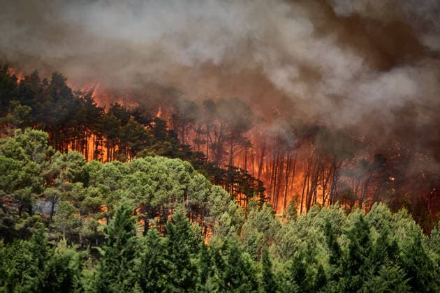 A large wildfire has been reported in Imárcoain, Navarre. View of the wildfire in Imárcoain on July 5, 2026, in Imárcoain, Elorz Valley, Navarre, Spain. Firefighters are currently working to extinguish a fire in a grain field that has spread to a wooded area in Imárcoain, which belongs to the Elorz Valley municipality. Emergency services received the alert at 4:49 p.m., and a response team consisting of firefighters, aircraft, environmental forest rangers, Local Police, and Regional Police. As a result, the AP 15 has been closed in both directions as a precaution. JULY 5, 2026 Imarcoain, Elorz Valley, Navarre Imarcoain, Elorz Valley, Navarre, Spain  Copyright: xEduardoxSanzx 7647214