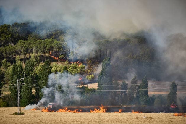 A large wildfire has been reported in Imárcoain, Navarre. View of the wildfire in Imárcoain on July 5, 2026, in Imárcoain, Elorz Valley, Navarre, Spain. Firefighters are currently working to extinguish a fire in a grain field that has spread to a wooded area in Imárcoain, which belongs to the Elorz Valley municipality. Emergency services received the alert at 4:49 p.m., and a response team consisting of firefighters, aircraft, environmental forest rangers, Local Police, and Regional Police. As a result, the AP 15 has been closed in both directions as a precaution. JULY 5, 2026 Imarcoain, Elorz Valley, Navarre Imarcoain, Elorz Valley, Navarre, Spain  Copyright: xEduardoxSanzx 7647218