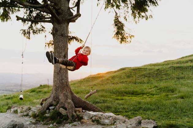 Happy boy in red jacket swings on a tree swing outdoors at sunset model released, Symbolfoto, NDEF03369