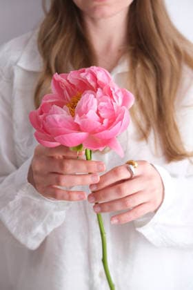 Hand holding a pink peony flower against a white shirt model released, Symbolfoto property released, YHF00205