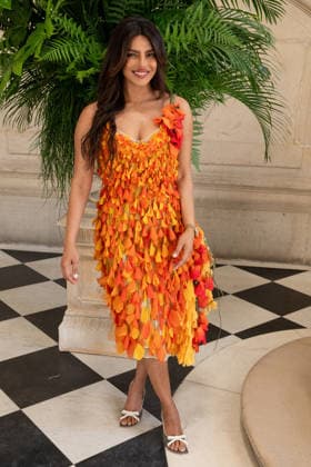 PFW - Christian Dior Photocall Priyanka Chopra attending the Christian Dior Haute Couture Fall Winter 2026 2027 show as part of Paris Fashion Week in Paris, France on July 06, 2025. Photo by Laurent Zabulon ABACAPRESS.COM Paris  Copyright: xZabulonxLaurent ABACAx