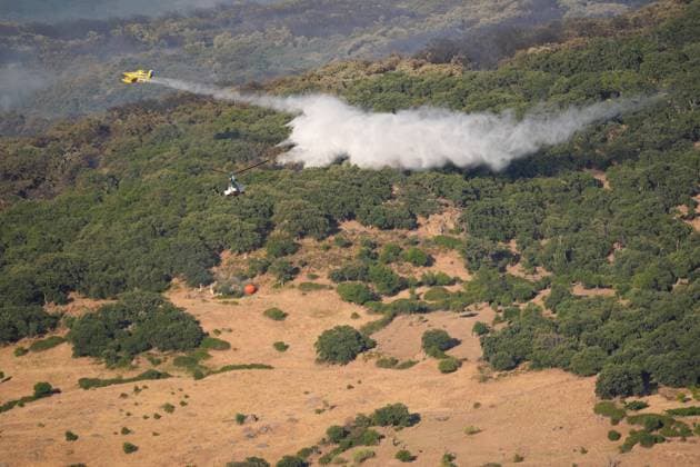 A wildfire in Grazalema, Cádiz, forces the evacuation of the Hotel Fuerte and triggers Emergency Phase 1. Aerial resources from the Infoca Plan are working to extinguish the wildfire in Grazalema. July 6, 2026, in Grazalema, Cádiz, Andalusia, Spain On July 6, 2026, in Zahara de la Sierra, Cádiz, Andalusia, Spain A dozen aerial resources, including helicopters and airplanes, are working to extinguish the wildfire that broke out in the municipality of Grazalema, Cádiz, specifically in the El Alamillo area, which has forced the evacuation of the Hotel Fuerte and led to the emergency phase being raised to Operational Level 1. JULY 6, 2026 Joaquí Grazalema, Cádiz, Andalusia, Spain Grazalema, Cádiz, Andalusia, Spain Spain  Copyright: xJoaquinxCorcherox 7650031