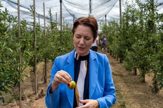 Einsatz Künstlicher Intelligenz in der Landwirtschaft. Im Bild die Ministerin für Landwirtschaft und Verbraucherschutz des Landes Nordrhein-Westfalen Silke Gorißen mit einem von der Sonne bereits verbrannten unreifen Apfel. Im Rahmen der Tour Starke Zukunft in Nordrhein-Westfalen: KI in Landwirtschaft und Wald besuchte die Ministerin auf ihrer vierten Station das Zukunftslabor der Agrar-, Ernährungs- und Ingenieurwissenschaftlichen Fakultät der Universität Bonn (AEI) auf dem Campus Klein-Altendorf in Rheinbach. *** The Use of Artificial Intelligence in Agriculture Pictured here is Silke Gorißen, Minister of Agriculture and Consumer Protection for the State of North Rhine-Westphalia, holding an unripe apple that has already be
