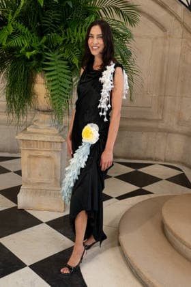 PFW - Christian Dior Photocall Alexa Chung attending the Christian Dior Haute Couture Fall Winter 2026 2027 show as part of Paris Fashion Week in Paris, France on July 06, 2025. Photo by Laurent Zabulon ABACAPRESS.COM Paris  Copyright: xZabulonxLaurent ABACAx