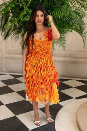 PFW - Christian Dior Photocall Priyanka Chopra attending the Christian Dior Haute Couture Fall Winter 2026 2027 show as part of Paris Fashion Week in Paris, France on July 06, 2025. Photo by Laurent Zabulon ABACAPRESS.COM Paris  Copyright: xZabulonxLaurent ABACAx