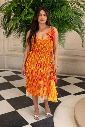 PFW - Christian Dior Photocall Priyanka Chopra attending the Christian Dior Haute Couture Fall Winter 2026 2027 show as part of Paris Fashion Week in Paris, France on July 06, 2025. Photo by Laurent Zabulon ABACAPRESS.COM Paris  Copyright: xZabulonxLaurent ABACAx