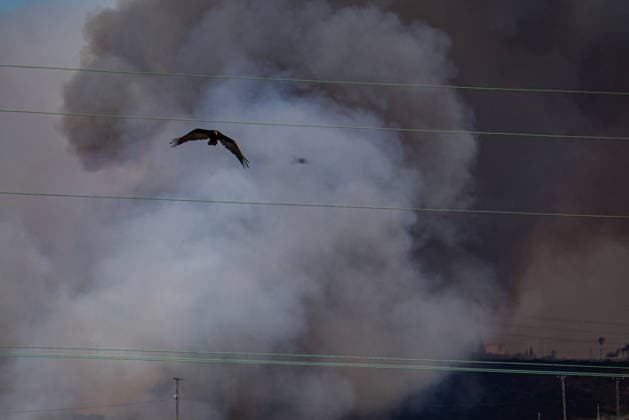 July 6, 2026, Camp Pendleton, California, USA: MASS 3 Evacuations were given for AREA 32 of Camp Pendleton on Monday, July, 6, 2026, just outside of Oceanside, California. The Pipeline Fire is at 150 acres with multiple resources attacking the line. Camp Pendleton USA  - ZUMAg219 20260706_znp_g219_006 Copyright: xJakexLeexGreenx