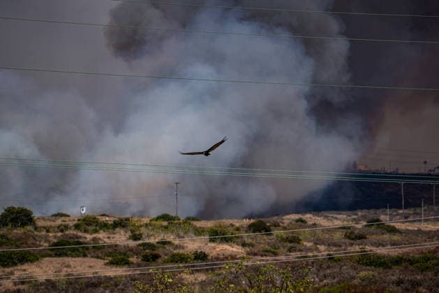July 6, 2026, Camp Pendleton, California, USA: MASS 3 Evacuations were given for AREA 32 of Camp Pendleton on Monday, July, 6, 2026, just outside of Oceanside, California. The Pipeline Fire is at 150 acres with multiple resources attacking the line. Camp Pendleton USA - ZUMAg219 20260706_znp_g219_009 Copyright: xJakexLeexGreenx