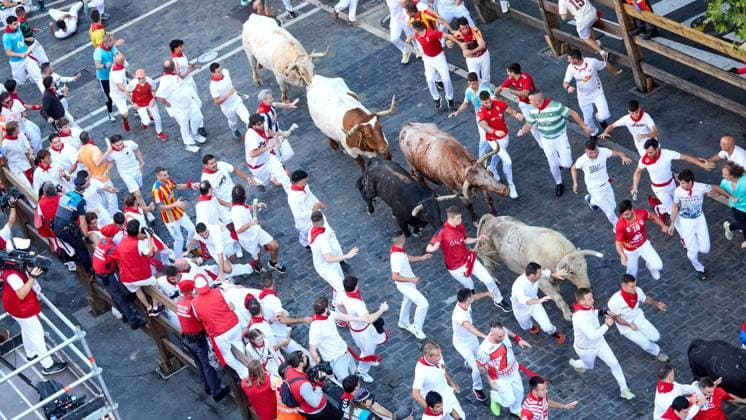 IPA86463735 - Pamplona, Navarre. July 7, 2026. Festivities. San Fermin. Bull Run. The first bull run of the 2026 San Fermin festival, featuring bulls from Fuente Ymbro, took place at the end of Estafeta Street and the Telefónica section in Pamplona on July 7, 2026. First bull run of San Fermin 2026 with bulls from Fuente Ymbro at the end of Estafeta Street and the Telefónica section in Pamplona on July 7, 2026. Inigo Alzugaray Cordon Press Cordon Press  Copyright: x CordonxPress LiveMediax xx 86463735