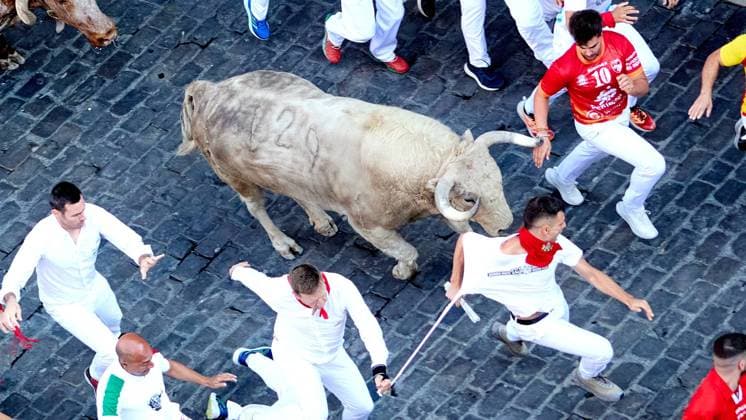 IPA86463739 - Pamplona, Navarre. July 7, 2026. Festivities. San Fermin. Bull Run. The first bull run of the 2026 San Fermin festival, featuring bulls from Fuente Ymbro, took place at the end of Estafeta Street and the Telefónica section in Pamplona on July 7, 2026. First bull run of San Fermin 2026 with bulls from Fuente Ymbro at the end of Estafeta Street and the Telefónica section in Pamplona on July 7, 2026. Inigo Alzugaray Cordon Press Cordon Press  Copyright: x CordonxPress LiveMediax xx 86463739
